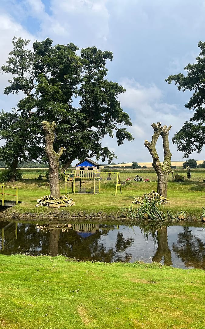 JRS Tree Services - Offering expert tree care and maintenance services, from tree removal to hedge trimming and preservation.