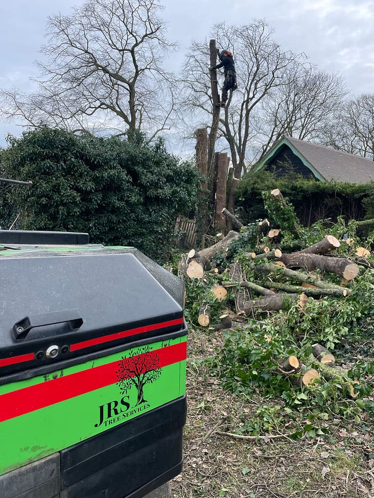JRS Tree Services - Offering expert tree care and maintenance services, from tree removal to hedge trimming and preservation.