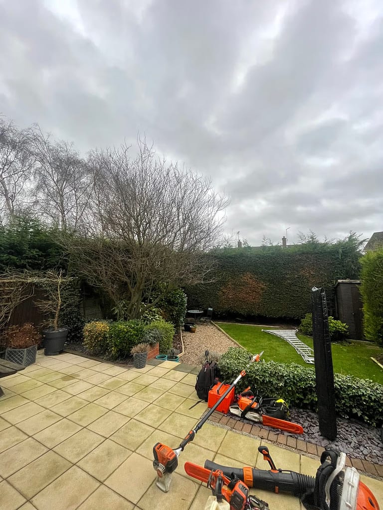 JRS Tree Services - Offering expert tree care and maintenance services, from tree removal to hedge trimming and preservation.