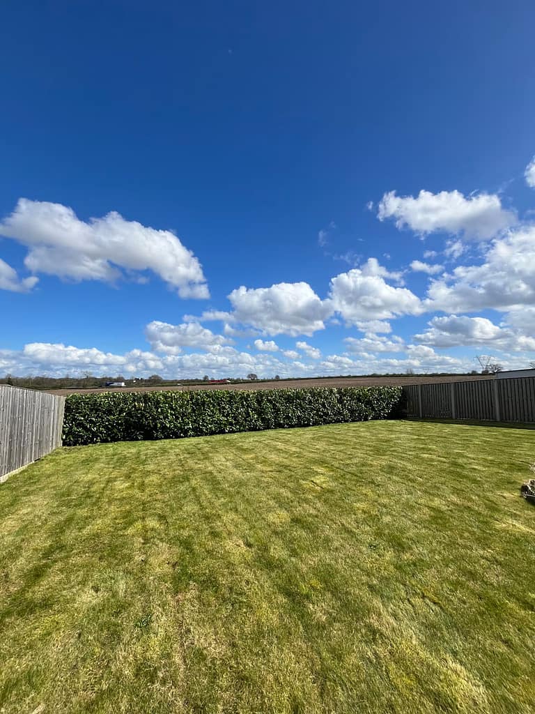 JRS Tree Services - Offering expert tree care and maintenance services, from tree removal to hedge trimming and preservation.