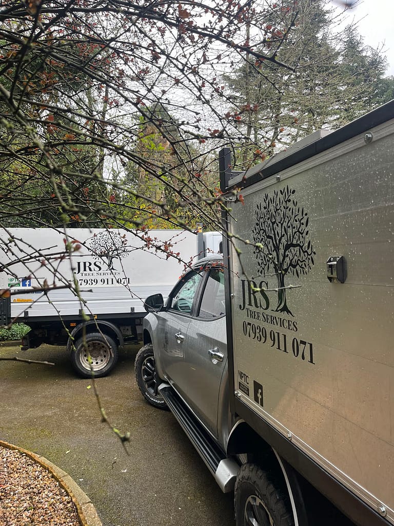 JRS Tree Services - Offering expert tree care and maintenance services, from tree removal to hedge trimming and preservation.