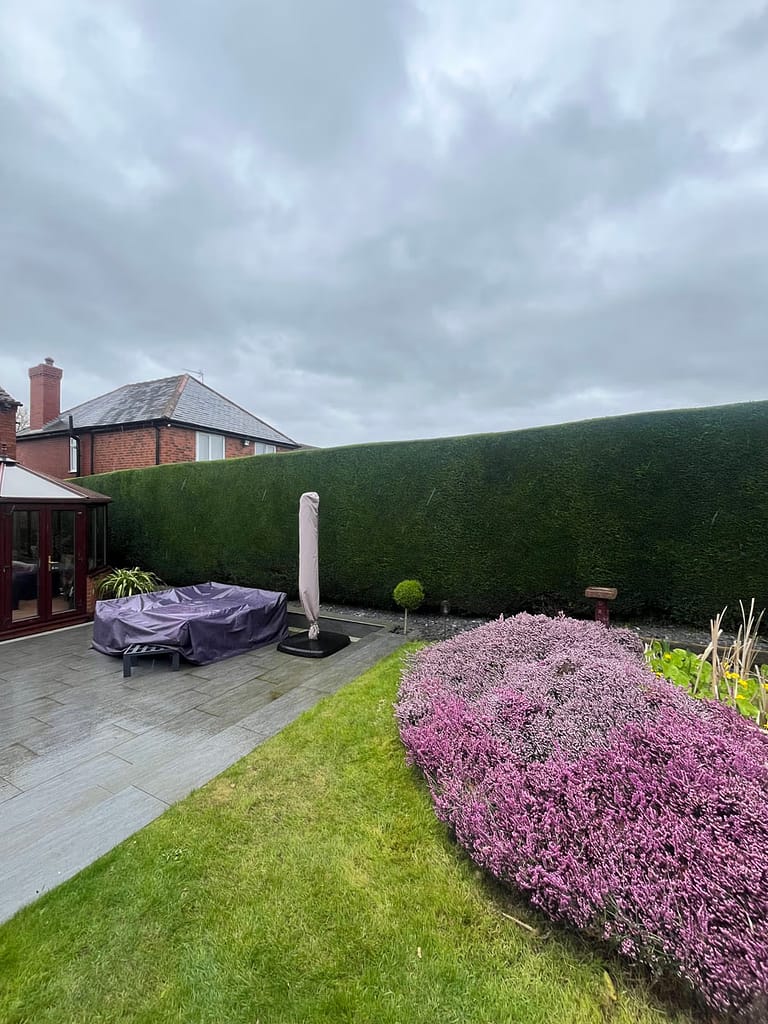 JRS Tree Services - Offering expert tree care and maintenance services, from tree removal to hedge trimming and preservation.