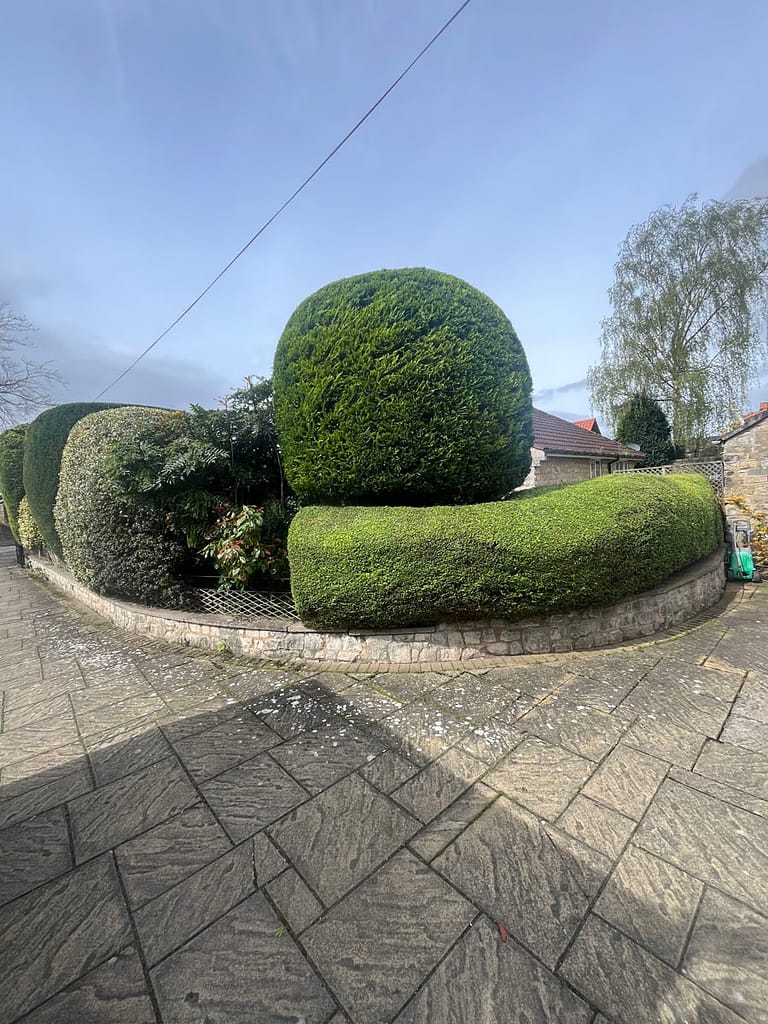 JRS Tree Services - Offering expert tree care and maintenance services, from tree removal to hedge trimming and preservation.