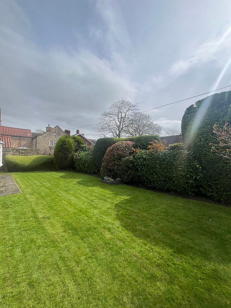 JRS Tree Services - Offering expert tree care and maintenance services, from tree removal to hedge trimming and preservation.