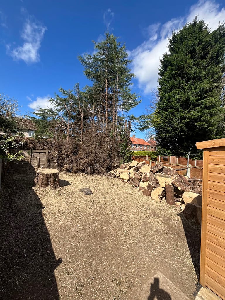 JRS Tree Services - Offering expert tree care and maintenance services, from tree removal to hedge trimming and preservation.