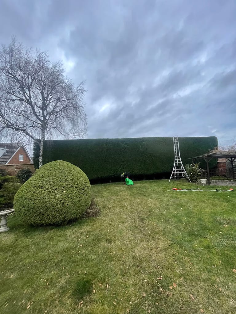 JRS Tree Services - Offering expert tree care and maintenance services, from tree removal to hedge trimming and preservation.