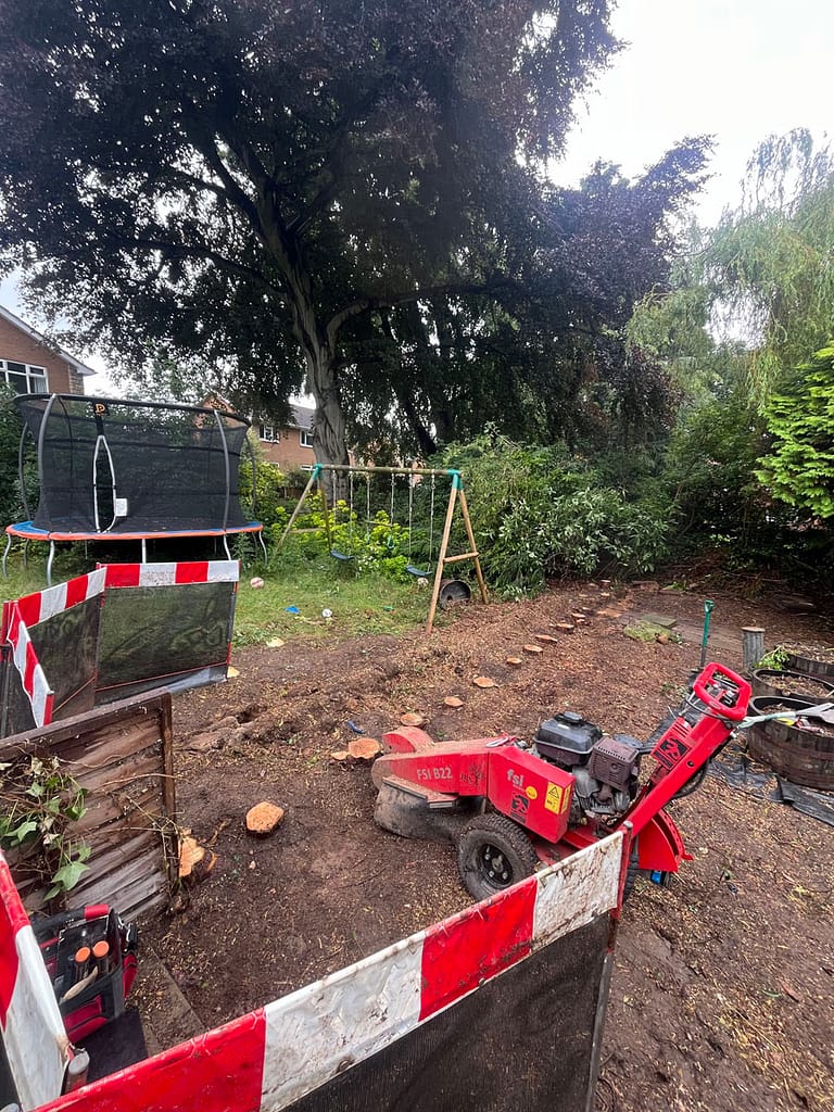 JRS Tree Services - Offering expert tree care and maintenance services, from tree removal to hedge trimming and preservation.