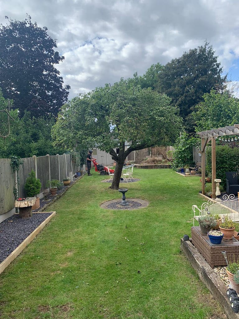 JRS Tree Services - Offering expert tree care and maintenance services, from tree removal to hedge trimming and preservation.