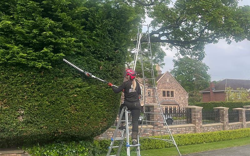 JRS Tree Services - Offering expert tree care and maintenance services, from tree removal to hedge trimming and preservation.