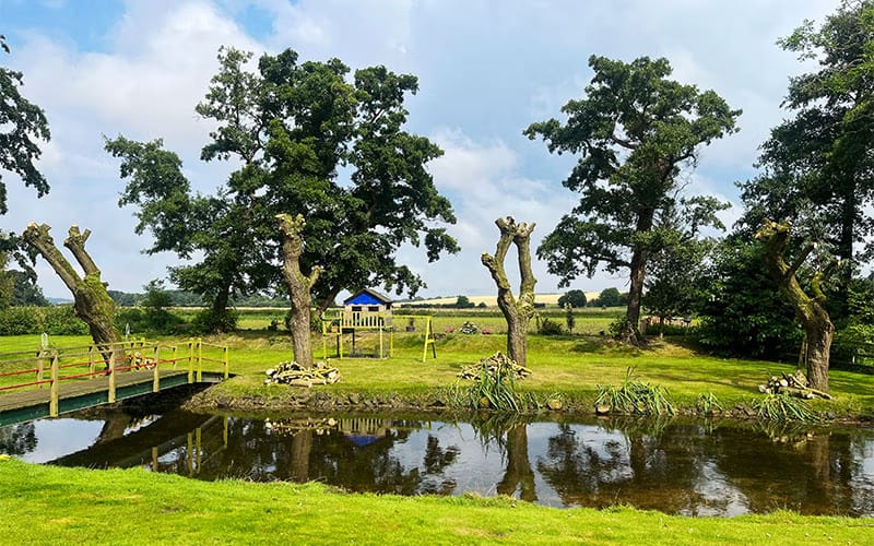 JRS Tree Services - Offering expert tree care and maintenance services, from tree removal to hedge trimming and preservation.