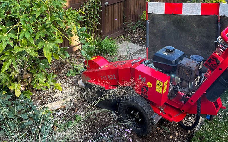 JRS Tree Services - Offering expert tree care and maintenance services, from tree removal to hedge trimming and preservation.