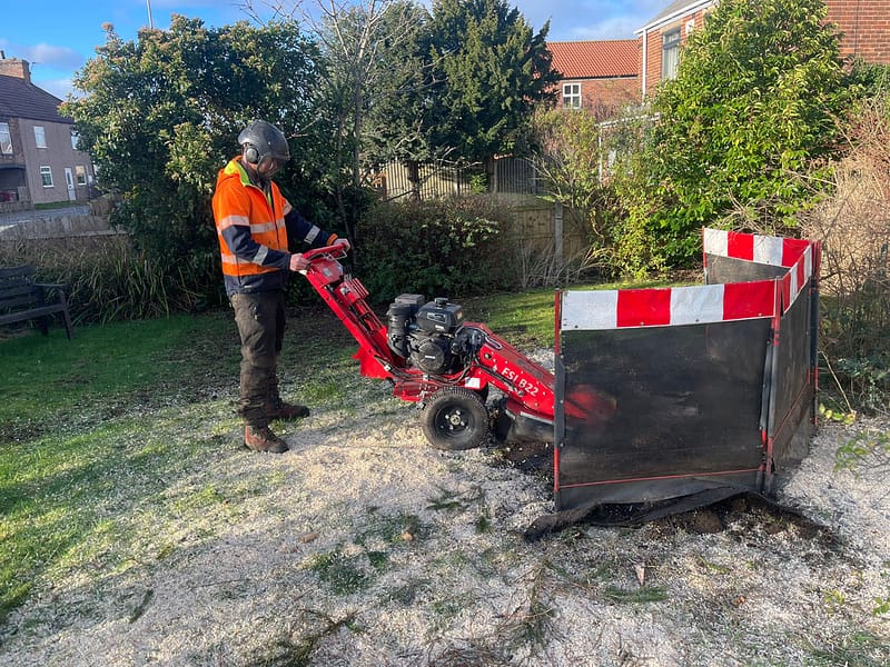 JRS Tree Services - Offering expert tree care and maintenance services, from tree removal to hedge trimming and preservation.