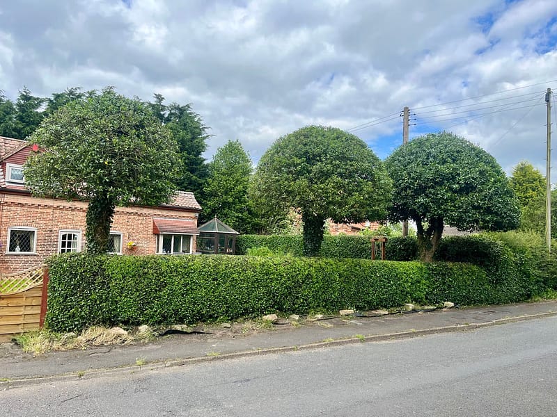 JRS Tree Services - Offering expert tree care and maintenance services, from tree removal to hedge trimming and preservation.